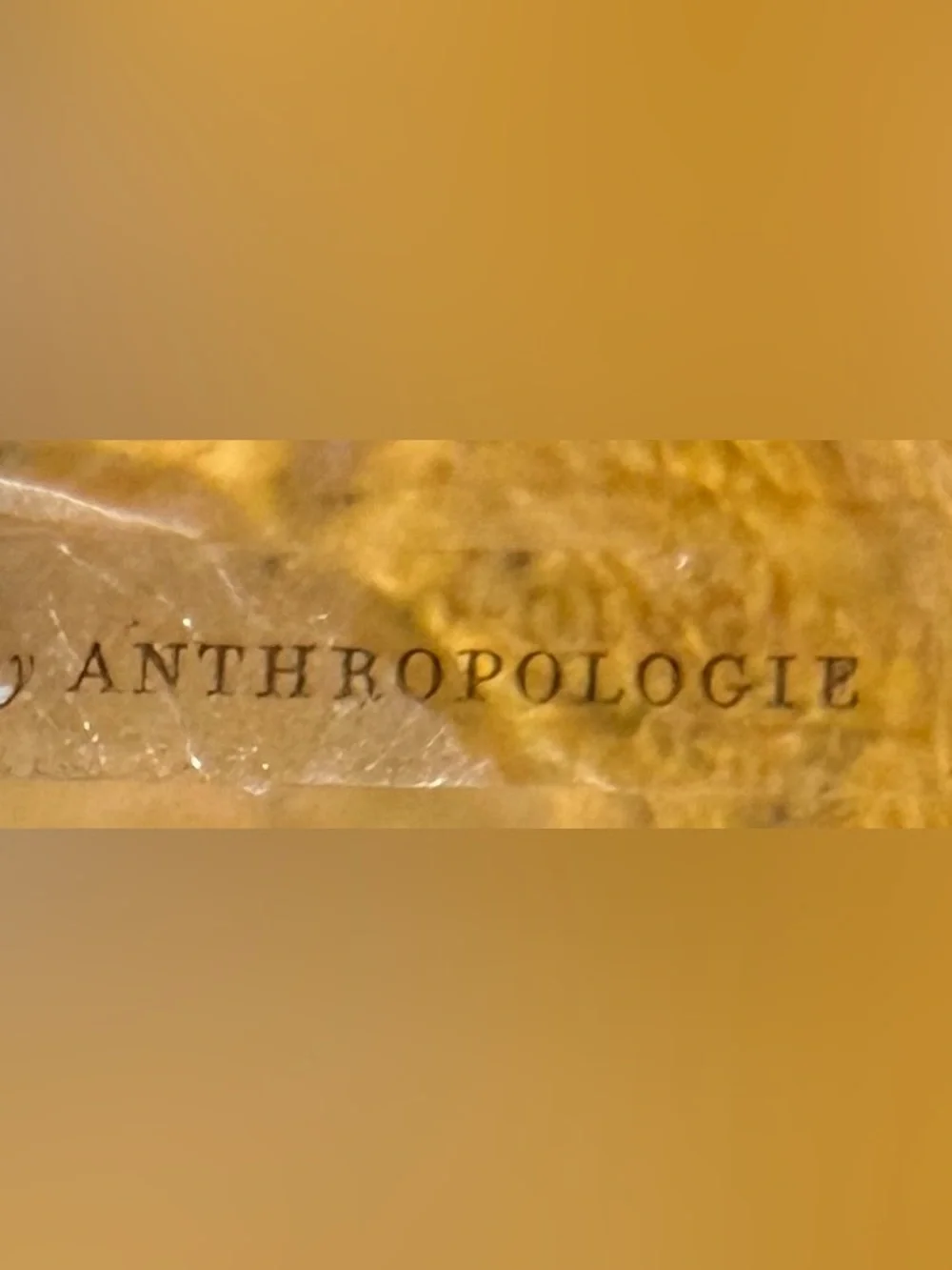 Anthropologie Yellow Art Glass Vase